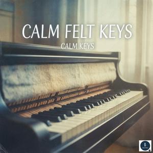 Calm Felt Keys