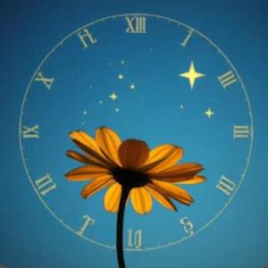 Like a flower (Special Version)