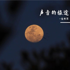 声音的旅途