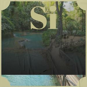 Si