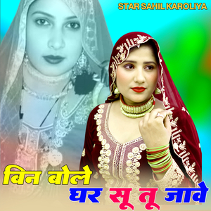 बिन बोले घर सू तू जावे
