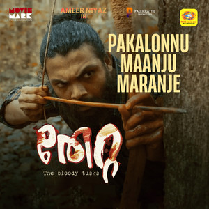 Pakalonnu Maanju Maranje (From"Thetta") (Original Motion Picture Soundtrack)