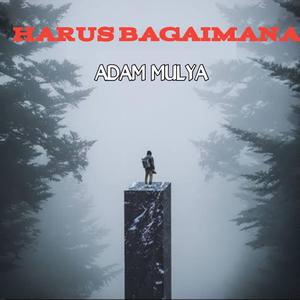 Harus Bagaimana