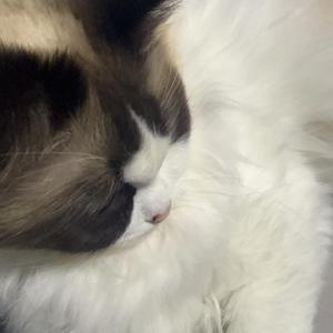 只字不提.wav（翻自 于和伟）