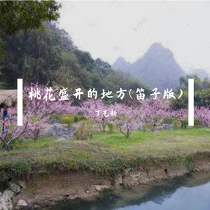 桃花盛开的地方(笛子版)