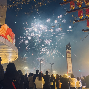 相逢何必曾相识