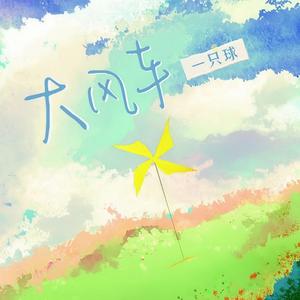 大风车 (DJ小蒋版)