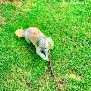 Close to Me (feat. Rumi)