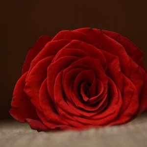 Dünyanın Yedi Harikası