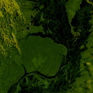 Submission (Dan Rubell Remix)