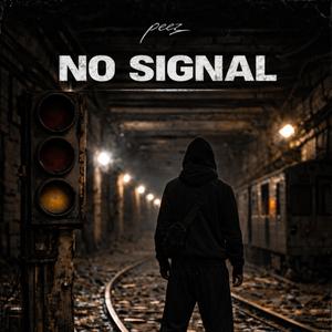 No Signal
