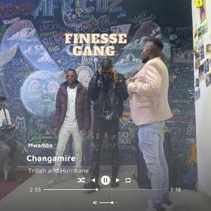 Changamire (feat. Trillah & Hurrikane)