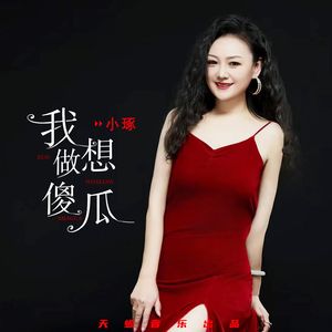 我想做傻瓜（伴奏）