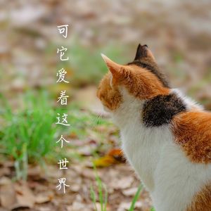 可它爱着这个世界