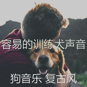 优美小狗器乐