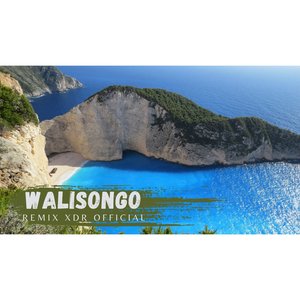Walisongo
