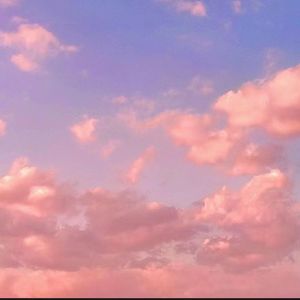 粉色浪漫（Prod.by Lan）