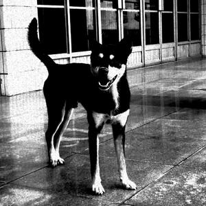 热河-相信未来版（cover李B）（翻自 荔枝）