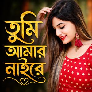 তুমি আমার নাইরে