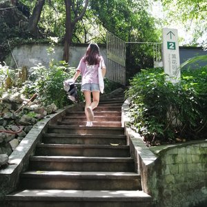 关于郑州的记忆