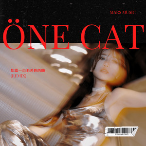 想要一直看著妳的脸 (feat. Zeon33)