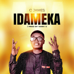 Idameka