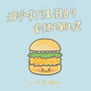 泪水打湿我的香辣鸡腿堡 (哈市DJ小海版)