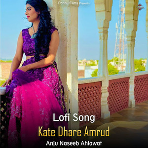 Kate Dhare Amrud (Lofi Remix)