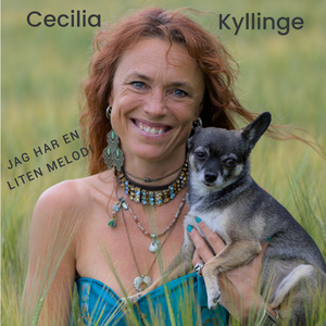 Jag har en liten melodi