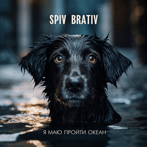 Я маю пройти океан
