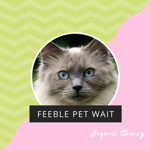 Feeble Pet Wait