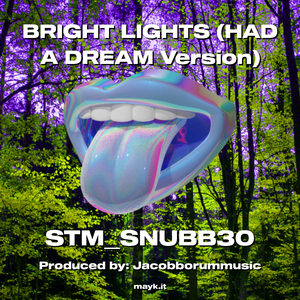 BRIGHT LIGHTS (HAD A DREAM Version)