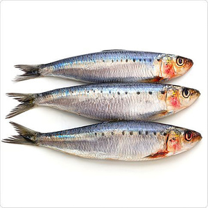 Long Sardine x Skinny Love