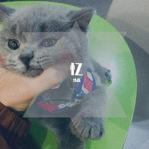 那个姑娘（Demo）