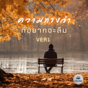 ความทรงจำที่อยากจะลืม (VER1)
