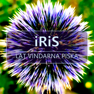 Låt vindarna piska (Radio Edit)