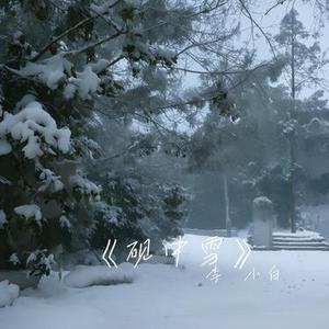 砚中雪