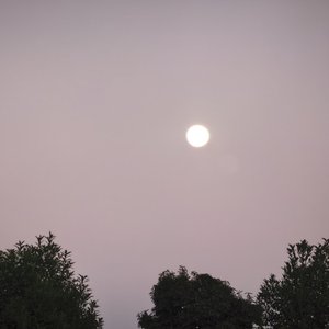 最深的想念不必声张