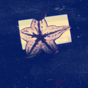 心动（Cover 林晓培）