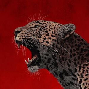 Expurgation (feat. Son Bokaru & WAV 777)