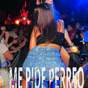 Me pide Perreo