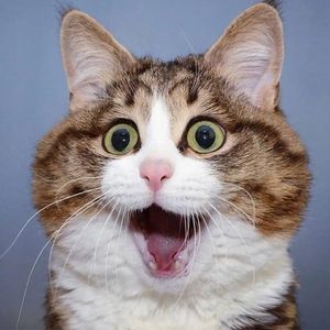 必杀技（cover：古巨基）