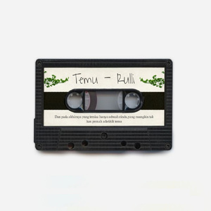 Temu