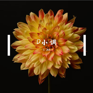 D小调
