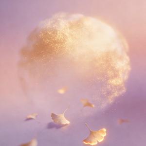 特别的爱给特别的你