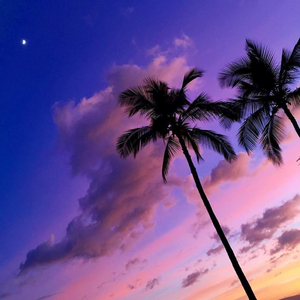 Dj Bloodline Mengkane