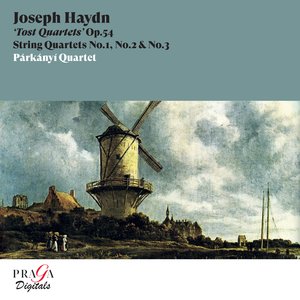 String Quartet in G Major, Op. 54 No. 1, Hob. III:58: IV. Finale. Presto