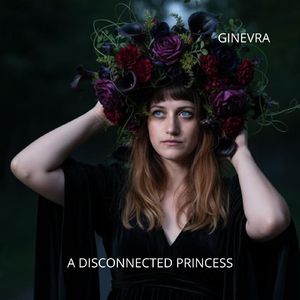 A Disconnected Princess