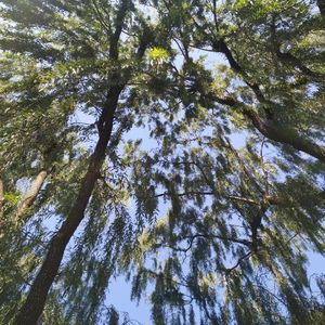 不能说的秘密（prod by Vibeboi）