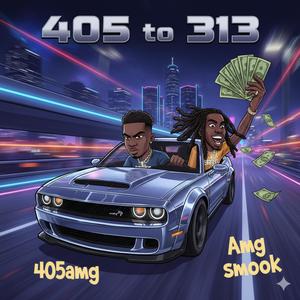 405 To 313